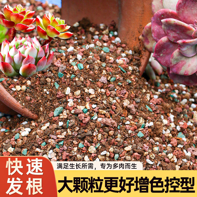 多肉颗粒土多肉土专用营养土壤种植土思威博多肉盆栽纯颗粒铺面石