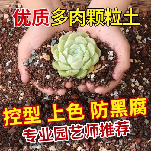 超优质多肉专用颗粒营养土