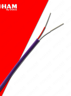 E型热电偶线铁氟龙测温线四氟线屏蔽EXBP/EXFF-2*0.3/0.4/0.5-JIS