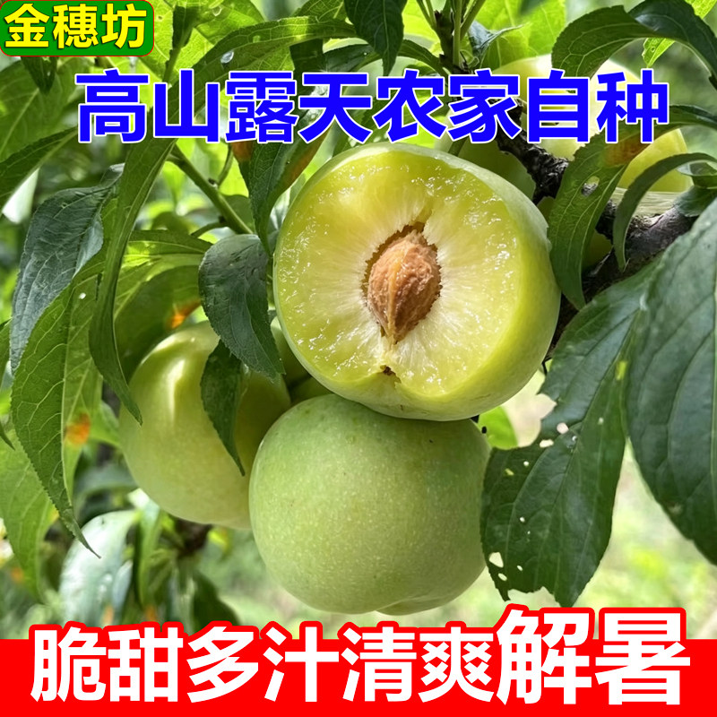 高山农家自种脱骨李无农药清脆李