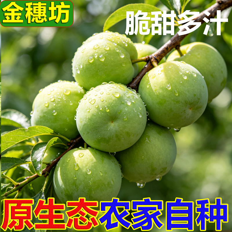 无农药农家脱骨李清脆爽口清脆李