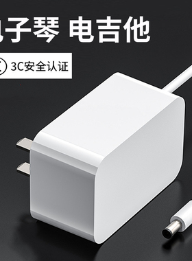 电子琴电吉他充电器线拍拍鼓儿童玩具电钢琴拉杆音响DVD播放机美容仪大小圆孔口电源适配器1a2a插头DC12v9V24