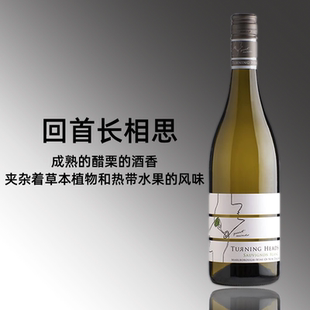 新西兰马尔堡原瓶进口 Turning Heads回首马尔伯勒长相思白葡萄酒