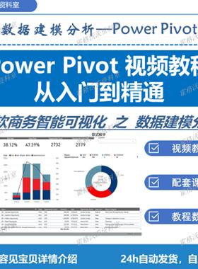 Excel PowerPivot数据建模分析实战基础篇进阶篇 Power Pivot教程