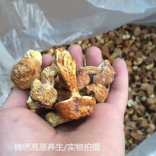 精选姬松茸干货 云南特产 筛选不低3次 姬松茸菌菇 500g包