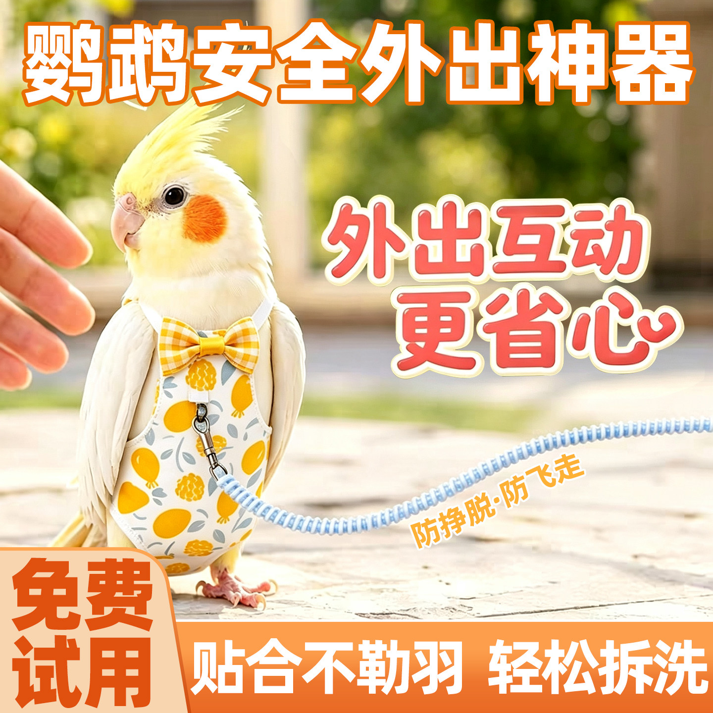 鹦鹉一次性粪兜尿不湿
