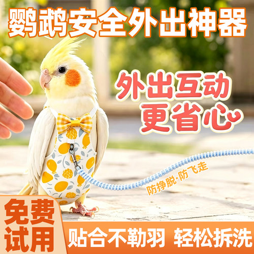 鹦鹉一次性粪兜尿不湿