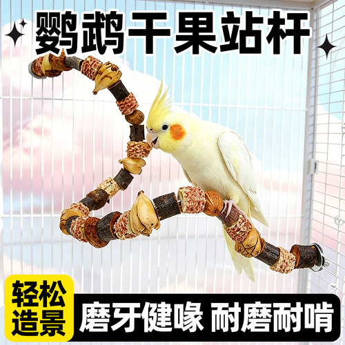 鹦鹉干果站杆玩具天然磨牙棒