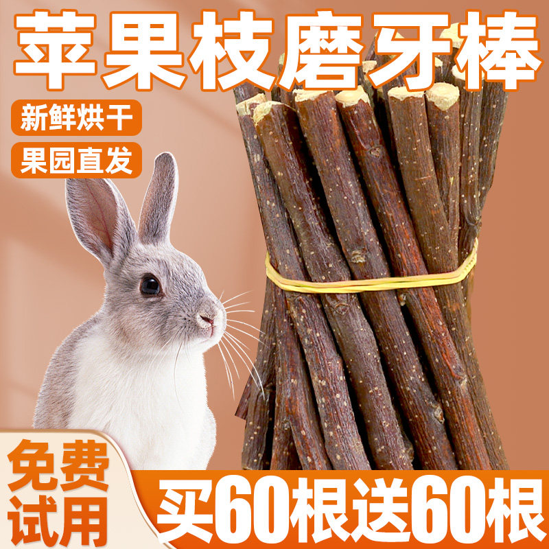 兔子苹果树枝磨牙神器龙猫豚荷兰猪生活用品洁宠物齿零食兔兔零食