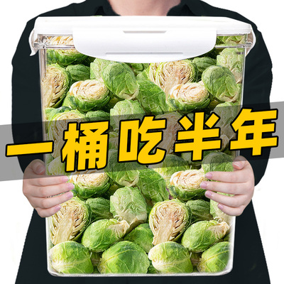 冻干孢子甘蓝狗狗零食蔬菜干