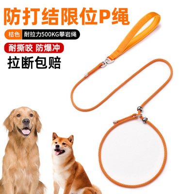 狗狗p绳牵引绳狗绳狗链子