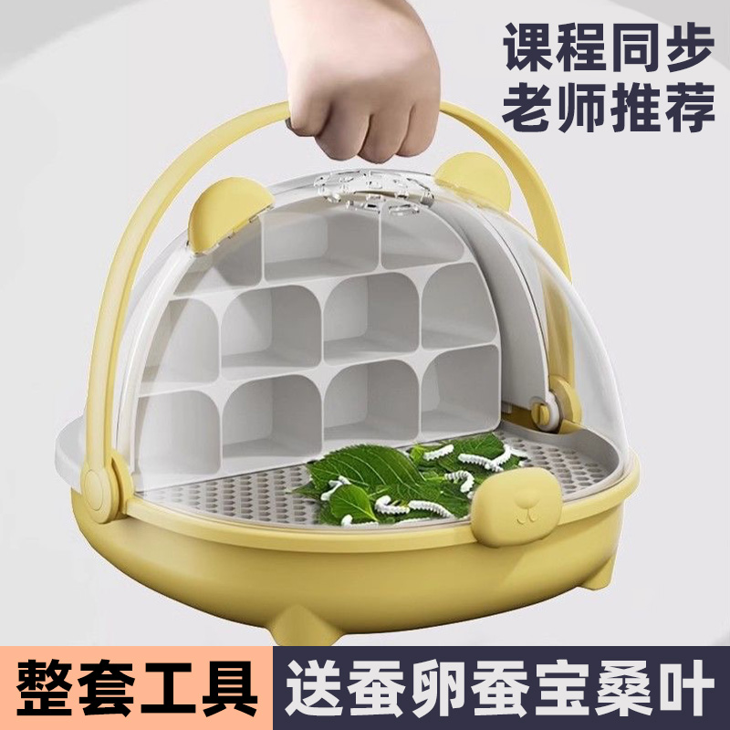 蠶寶寶學生養蠶套裝桑葉新鮮