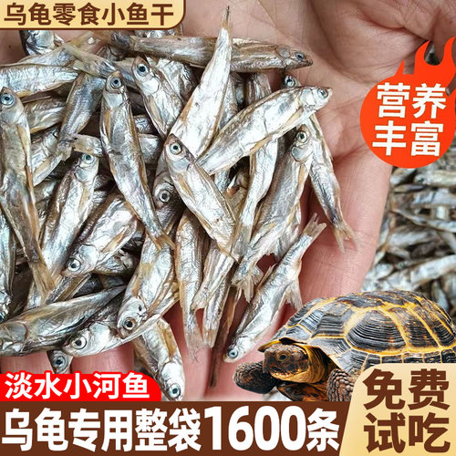 龟粮乌龟鱼干巴西龟草龟专用淡水小鱼粮食饲料南极磷虾龟无零食盐