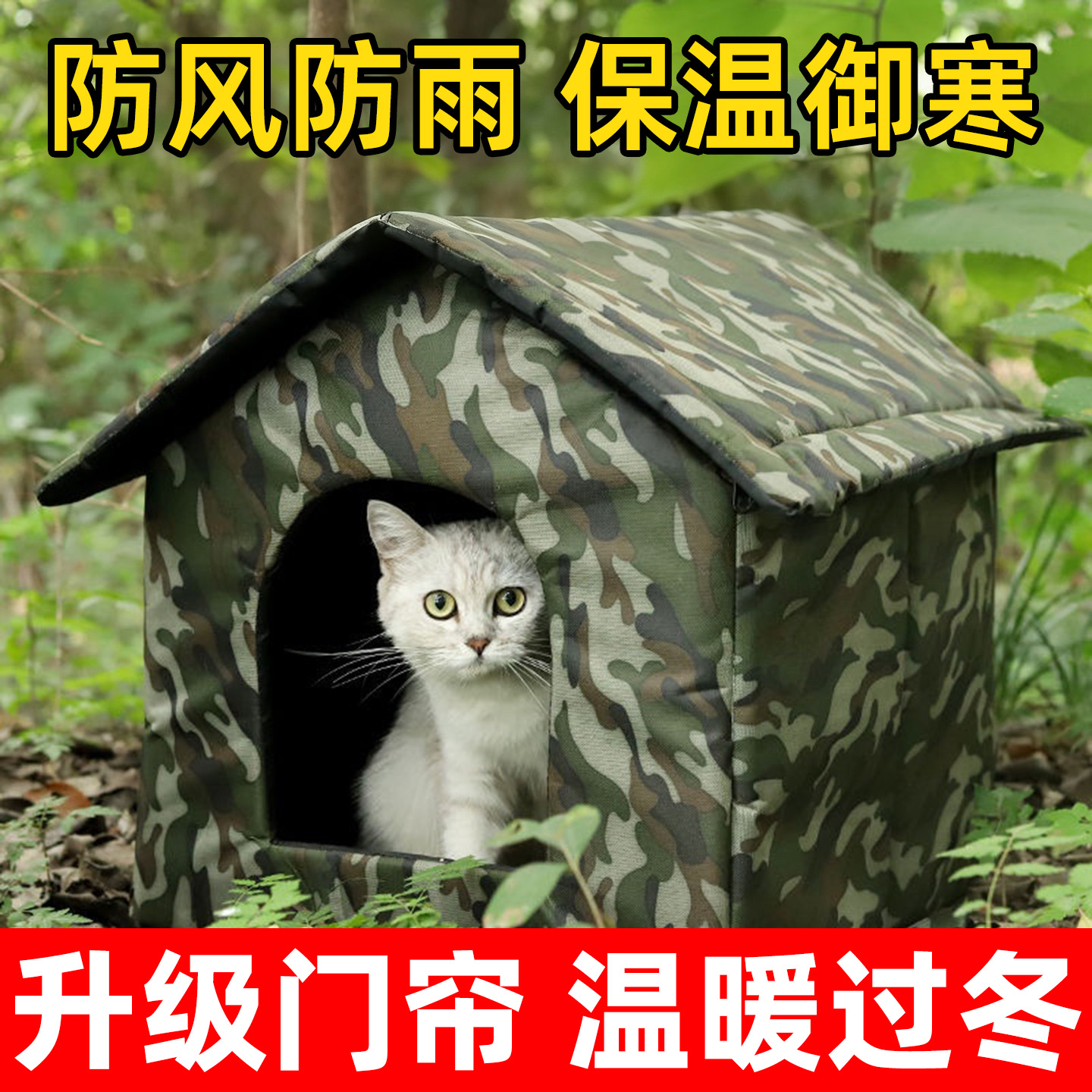 给流浪猫一个家！猫窝温暖过冬