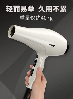 火之凤6600H电吹风家用大功率理发店发型师专用速干造型快电吹风