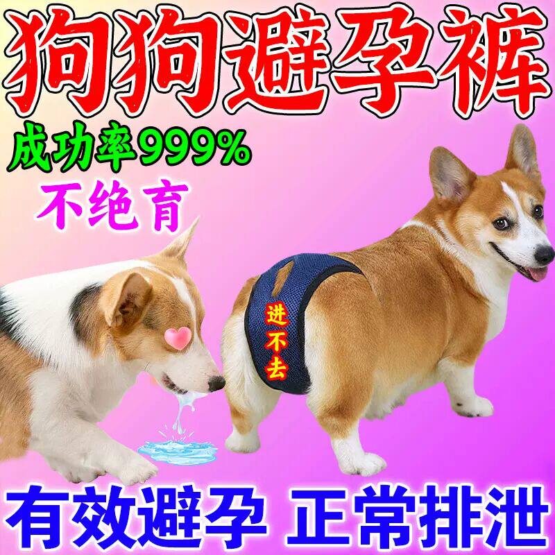 公狗母狗防交配神器避孕裤月经生理期巾生理裤母狗药可排泄防骚扰