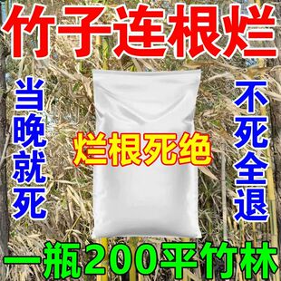 灭竹子专用药竹根连根除强力除竹粉清竹子烂根的药灌木腐蚀竹根粉
