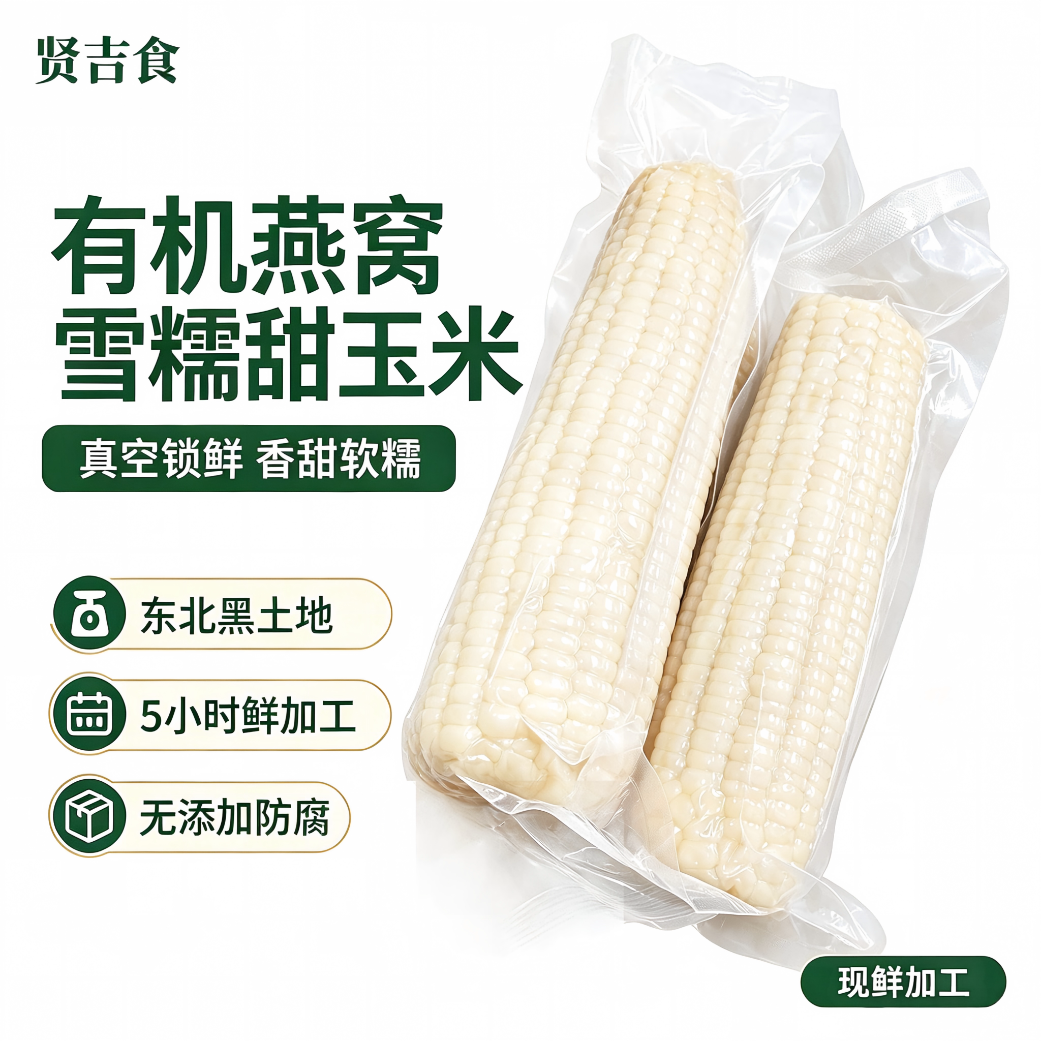 黑龙江有机燕窝雪糯甜玉米黑土地