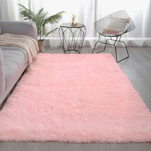 加厚客厅地毯卧室床边毯网红ins风毛绒家用客厅少女可爱毛毯地垫