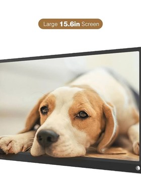 15.6 Inch Portable Monitor 1920x1080 Full HD IPS Screen wit