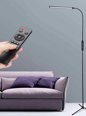 Minimalist Nordic Black LED Standing Floor Lamp with Remote