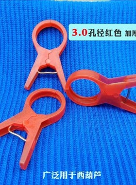 Hoisting seedling clip on the vine hoisting and tying the