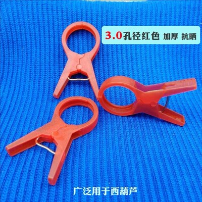 Hoisting seedling clip on the vine hoisting and tying the