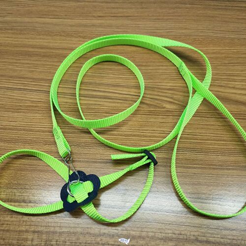 High Quality Pet Dog Leash Rope Nylon Adjustable Training Le