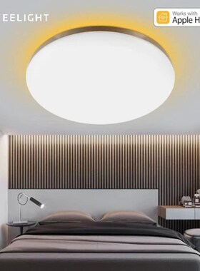 New 50W Smart LED Ceiling Lights Colorful Ambient Light Hom