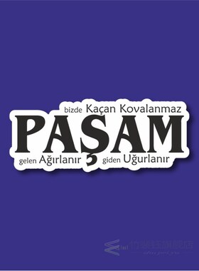 Pa?am Laptop and Phone Sticker-Decal max.8cm