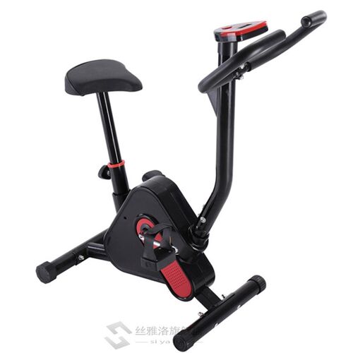 Exercise Bike Indoor  Cycling Trainer Weight Loss Fitness Wo