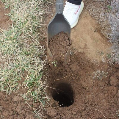 Piling is prohibited to dig holes for agricultural use in