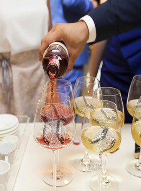 Stainless Steel Ice Cubes, Reusable Chilling Stones for Whis