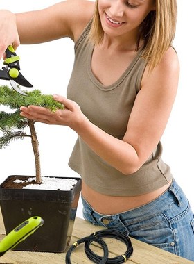 10 Rolls Bonsai Wires Anodized Aluminum Bonsai Training Wire