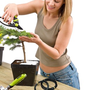 10 Rolls Bonsai Wires Anodized Aluminum Bonsai Training Wire