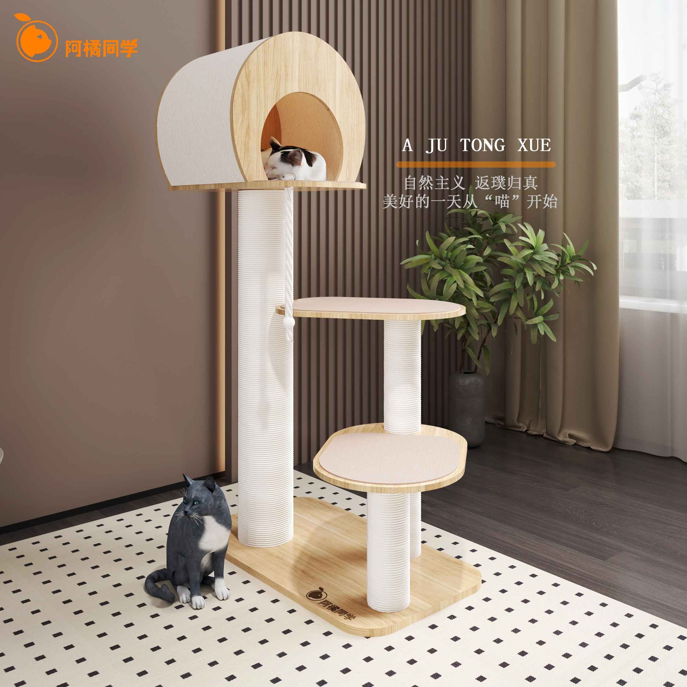 猫爬架猫窝猫树加粗巨结实实木上漆款,宠物/宠物食品及用品,猫爬架,淘宝优惠券,粉丝福利购,淘宝优惠卷