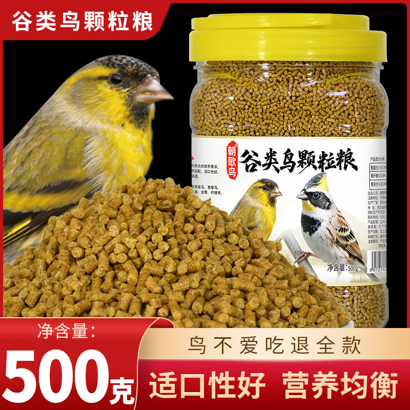 朝歌鸟谷类颗粒黄雀芙蓉