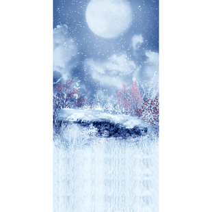 古装影楼摄影背景布古风冬天雪季冬天儿童主题艺术写真童话故事影棚照相馆MH-0681