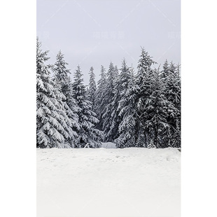 冬季 3065 雪景雪松影楼婚纱摄影拍照背景布少女影棚室内圣诞雪景场景布置主播背景布背景墙模特羽绒服带货MH