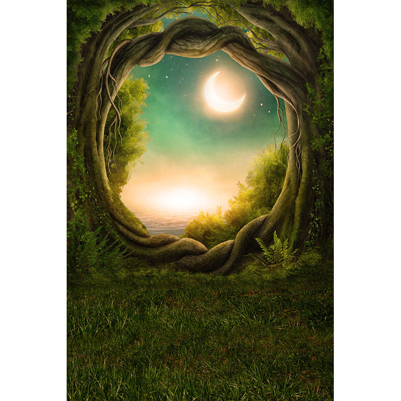 魔幻树洞森林童话儿童影楼摄影背景奇妙喷绘帆布艺术写真治愈直播背景