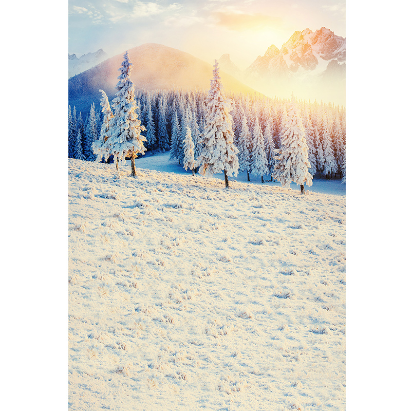 雪景背景布影楼拍照冬天森林圣诞主题室内写真布无纺布喷绘工作室摄影儿童小红书阳光温暖山林脚印