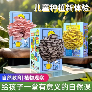 儿童益智蘑菇菌包种植实验