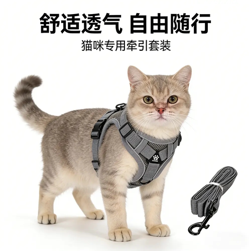 猫咪防挣脱伸缩遛猫牵引绳胸背带