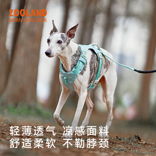 ZOOLAND狗狗胸背牵引绳工字遛狗小中大型犬防爆冲挣脱宠物牵狗绳
