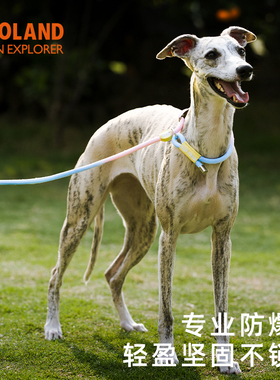 ZOOLAND狗狗牵引P绳小中大型犬遛狗防爆冲专业训练赛级用可调节款