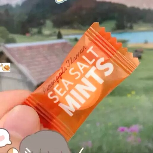 海盐百香果薄荷味糖商用批发招待传统糖果