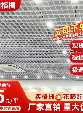铁铝吊顶网格吊顶装饰