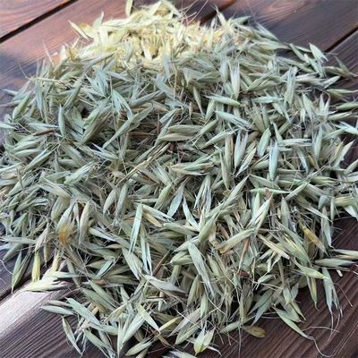2024年正宗野麦子500g克中药材泡茶泡水盗汗多汗浮小麦雀麦新货