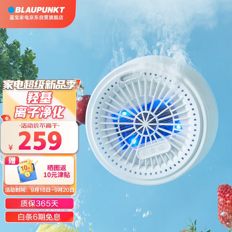 蓝宝BLAUPUNKT果蔬清洗机洗菜机单仓无线家用肉类蔬菜清洗机去农