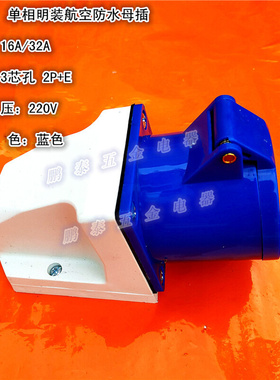 3X16A三极明装插座32A防水工业插头3芯航空插3孔220V现货现发蓝色